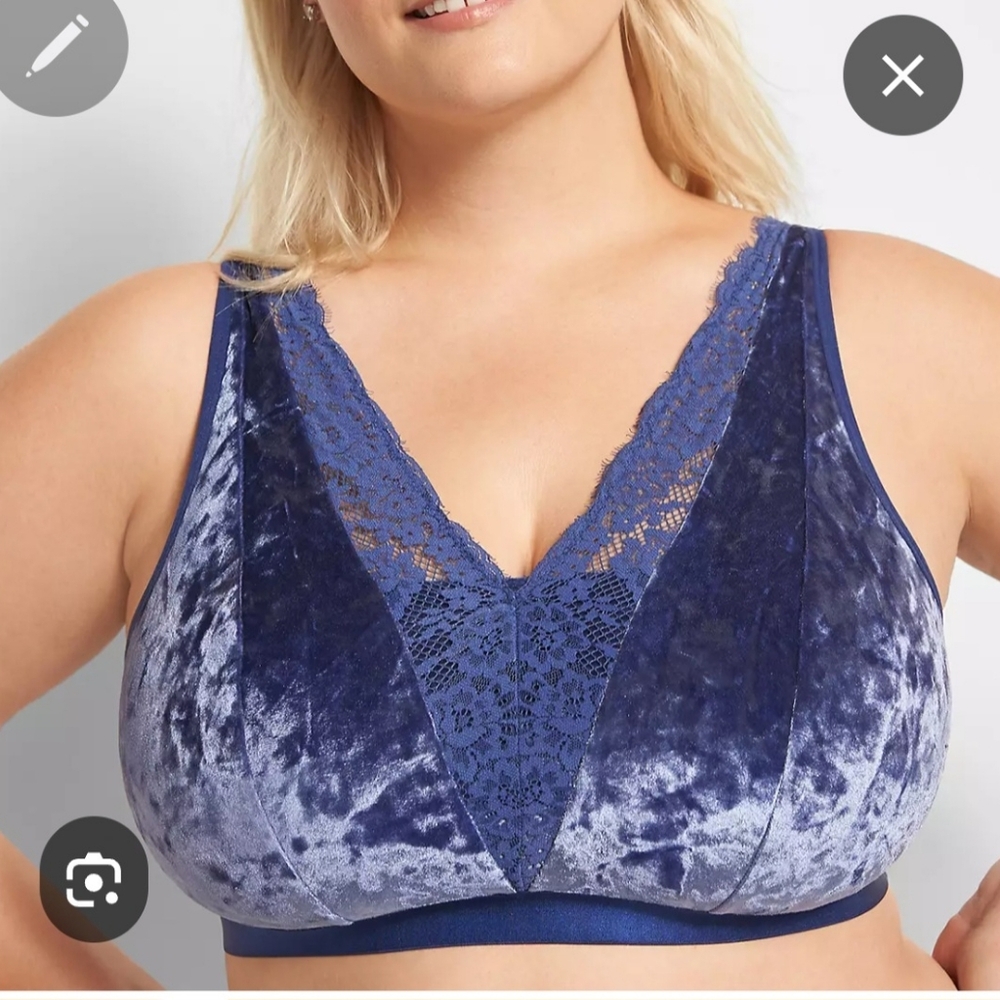 Cacique Blue Velvet Lace Bralette